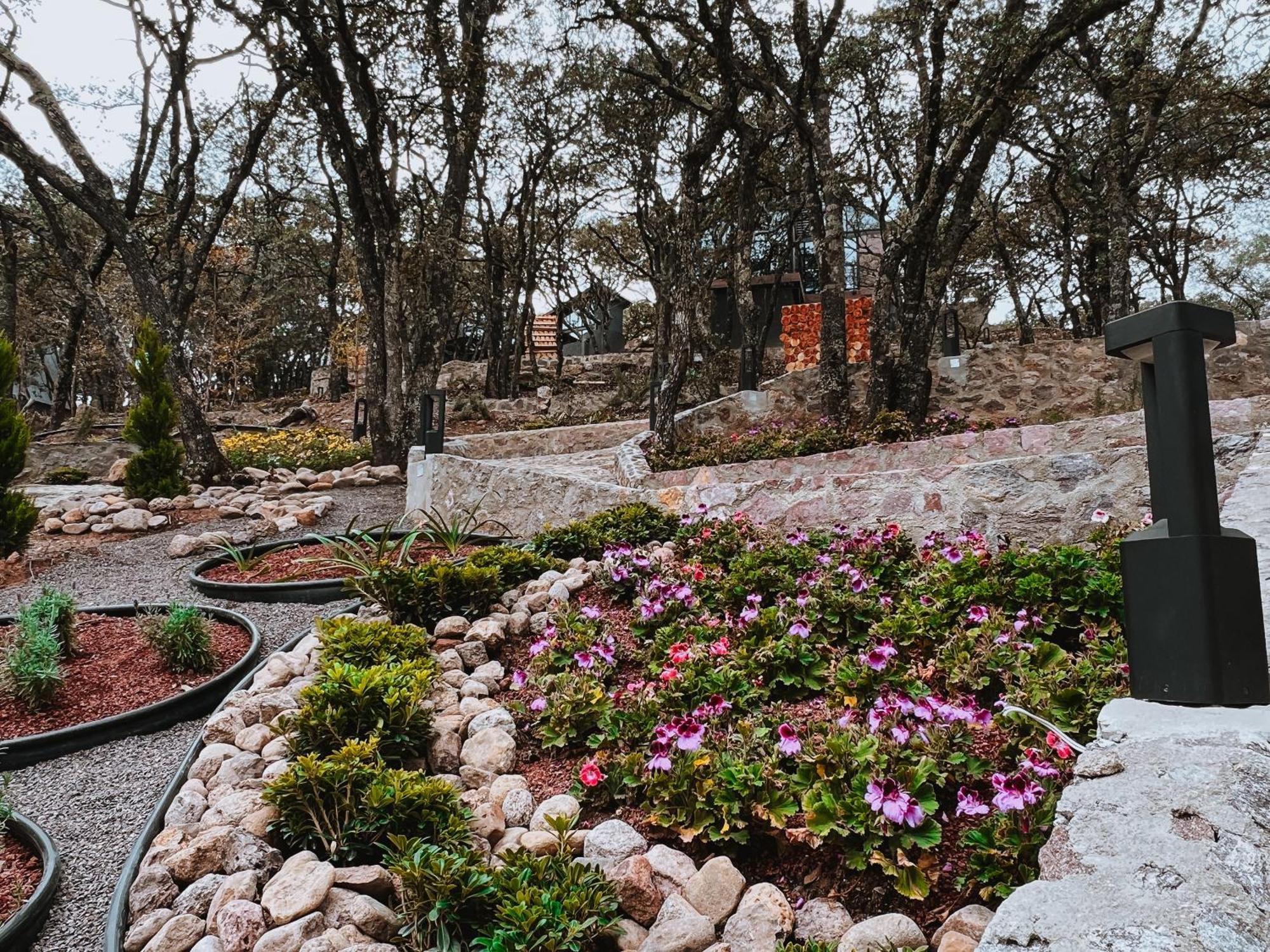 La Foret Cabanas Boutique Λεόν Εξωτερικό φωτογραφία
